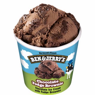 B&J Chocolate Fudge Brownie